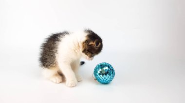 Küçük sevimli bir kedi yavrusu mavi top şeklinde bir Noel oyuncağının yanında oturuyor. Kedinin görüntüsü beyazın üzerinde izole edilmiş. Yeni yılın arkaplanı.