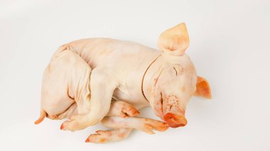 Beyaz arka planda emziren bir domuz leşinin sunumu. Şenlikli domuzcuk tabakları. Domuz yavrusu fırında ya da tükürükte pişirilecek..