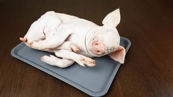 小さな酪農家の新鮮なピグレットの死体はプロヴィンにある 絶妙なお祝いの豚肉料理の準備 — ストック写真
