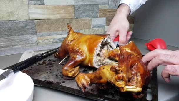 The cook cuts into pieces a pig baked in the oven. portioned distribution of a beautiful pork dish to the table. suckling pig — Αρχείο Βίντεο