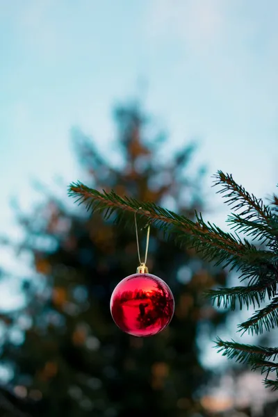 Een Kerstbal Een Tak Van Een Dennenboom Een Tak Van — Stockfoto