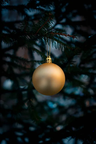 Karácsonyi Bál Egy Fenyőfa Ágán Egy Fenyőfa Faága Egy Karácsonyi — Stock Fotó