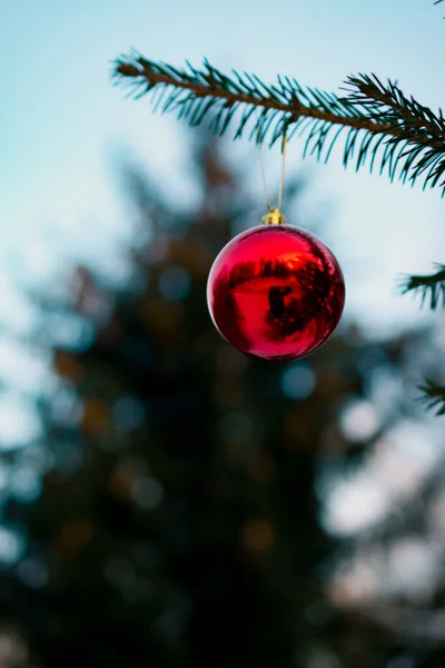 Uma Bola Natal Ramo Abeto Ramo Abeto Com Brinquedo Natal — Fotografia de Stock