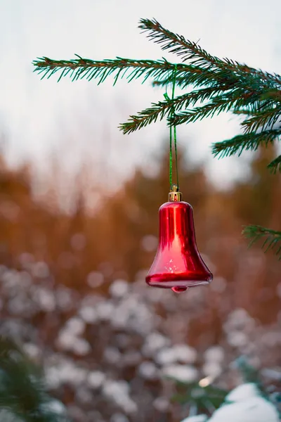 Karácsonyi Harang Egy Fenyőfa Ágán Egy Fenyőfa Faága Egy Karácsonyi — Stock Fotó