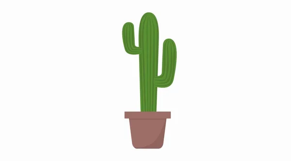 Illustration Des Kaktusvektors Vektorisolierte Editierbare Flache Illustration Eines Kaktus — Stockvektor