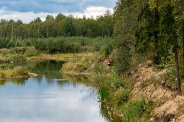 Bir orman gölü kıyısındaağaçlar.