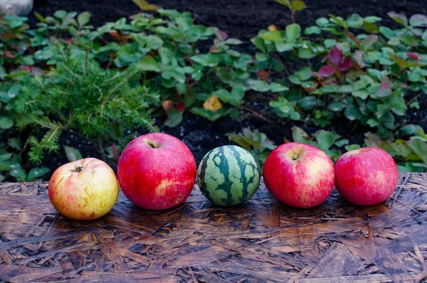 Rode Appels Groene Watermeloen — Stockfoto