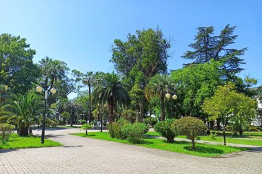 Abhazya 'daki Sukhumi şehri.. 