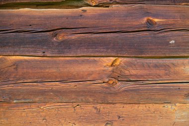 Kabuğu soyulmuş eski bir ağacın dokusu.. 