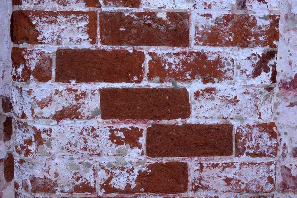 Texture Vieux Mur Briques — Photo