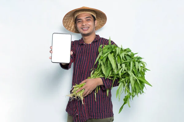 Šťastný Asijský Zemědělec Demonstrující Mobilní Telefon Izolované Bílém Pozadí — Stock fotografie