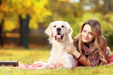 Onu köpek ile yalancı erkek