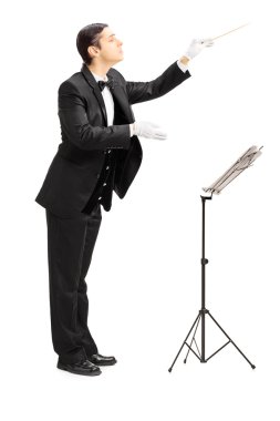 yönetmenlik erkek orkestra şefi