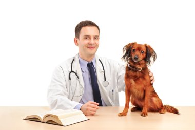 Veteriner köpeği ile