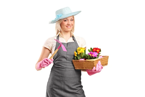 Florist holding flower pots — Stock Photo, Image