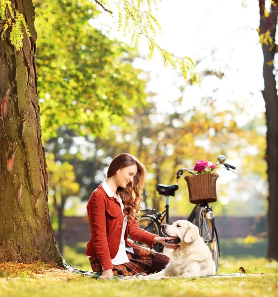 Vrouw zoekt op hond — Stockfoto