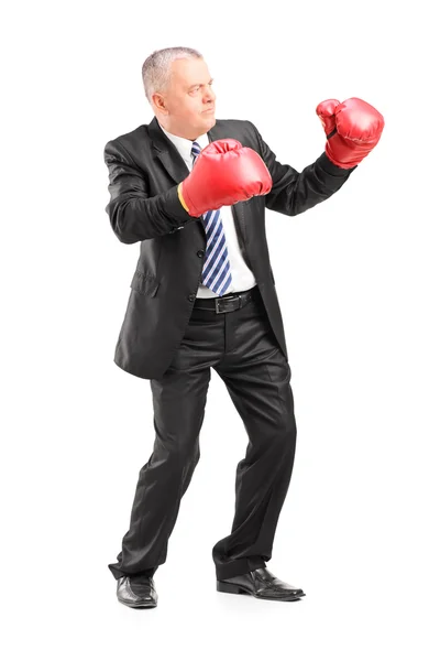 Hombre de negocios con guantes de boxeo — Foto de Stock