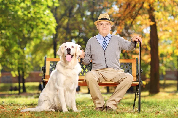 Джентльмен сидит на скамейке с собакой — стоковое фото