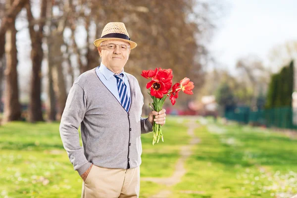 Starszy mężczyzna trzyma tulipany w parku — Zdjęcie stockowe