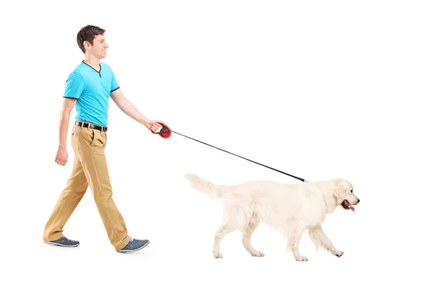 Young man walking dog — Stock Photo, Image