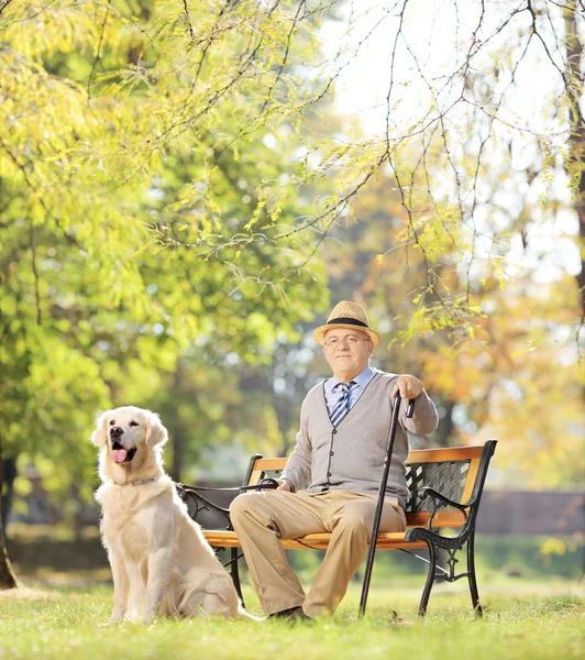 Hombre mayor con perro relajante — Foto de Stock