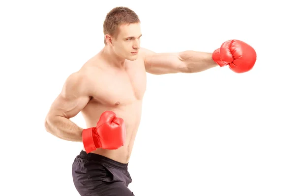Atleta con guanti da boxe — Foto Stock