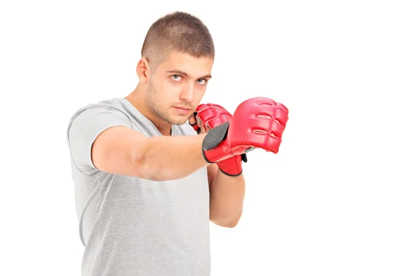 Boxer v akci — Stock fotografie
