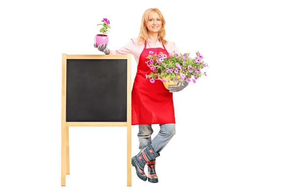 Kvinnliga florist anläggning blommor — Stockfoto