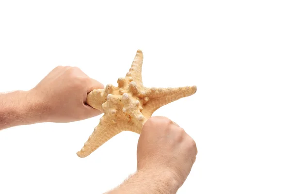 Person holding starfish — Stock Photo, Image