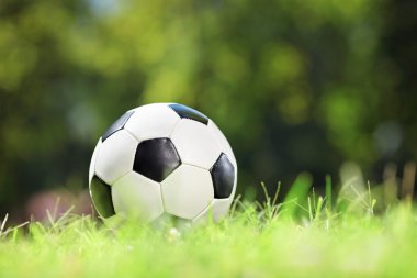 Çimlerin üzerinde futbol topu