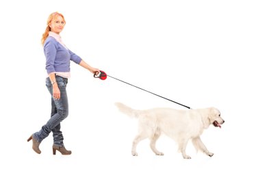 kadın yürüyen köpek portresi