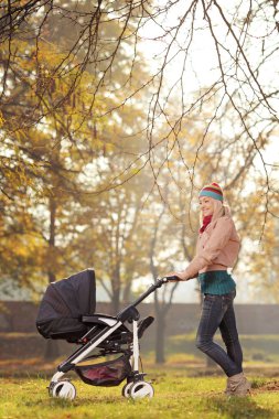 Anne ve bebek arabası.