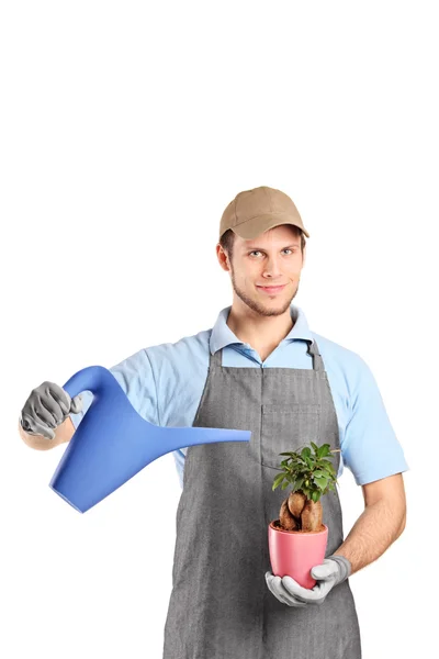 Человек, держащий банку и растение — стоковое фото