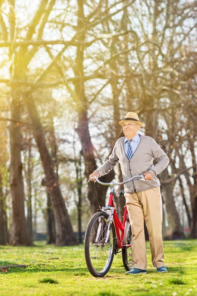 Senior man walking with bike — Stock Photo, Image