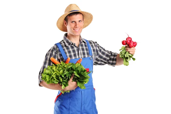 Landwirt hält Gemüse — Stockfoto