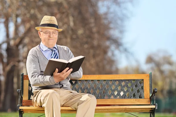 Senior en libro de lectura de banco — Foto de Stock