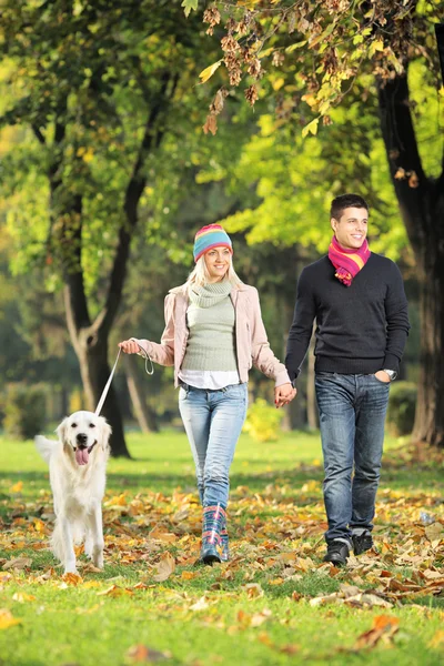 Couple walking dog — Stock Photo, Image