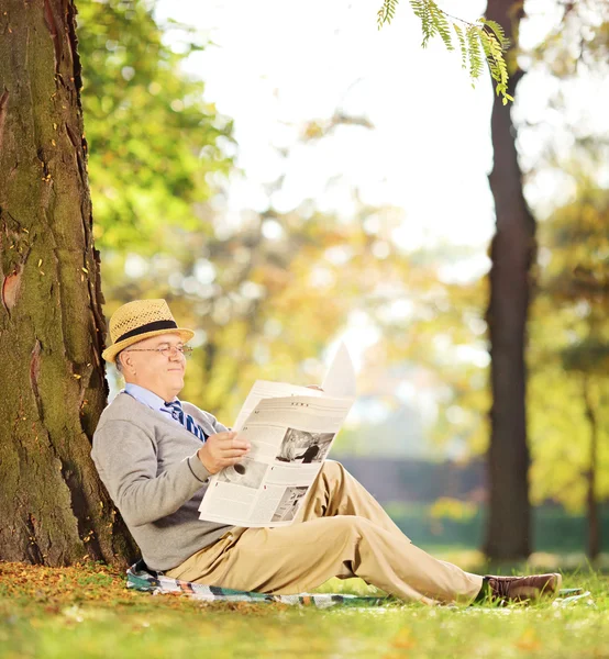 Caballero leyendo el periódico en el parque — Foto de Stock