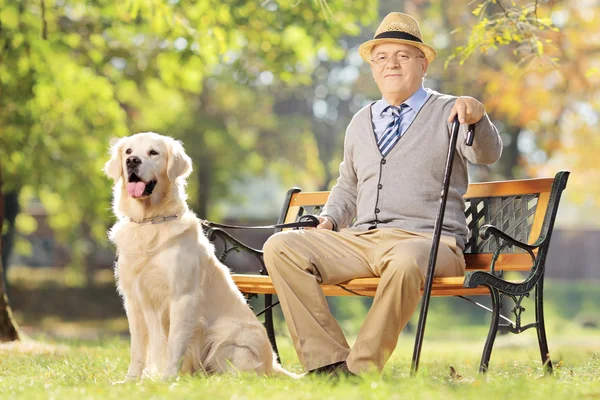 Senior man seated on a wooden bench with his dog — Stock Photo, Image
