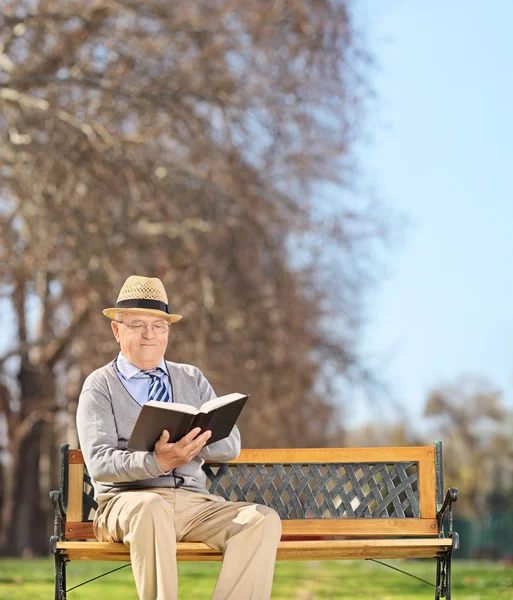 Senior reading book in park — Stock Photo, Image