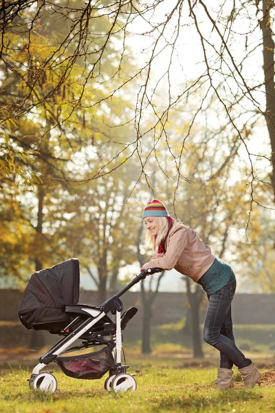 Mère avec chariot bébé — Photo