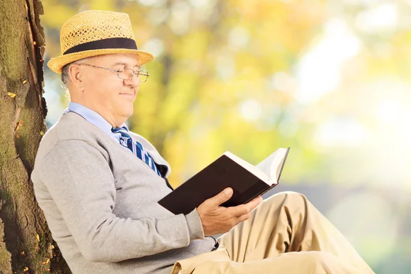 Senior man reading a book in park — Stock Photo, Image