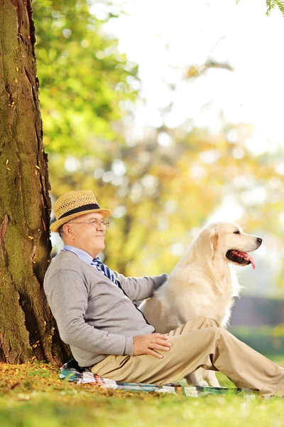 Seniorin und Hund im Park — Stockfoto