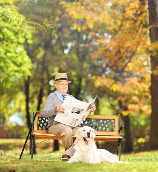 Man läser en tidning med hund — Stockfoto