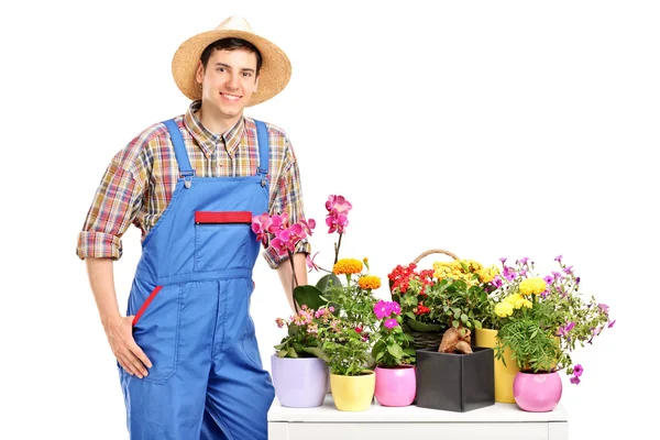 Floristería posando al lado de flores — Foto de Stock