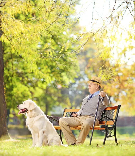 Monsieur aîné avec chien dans un parc — Photo