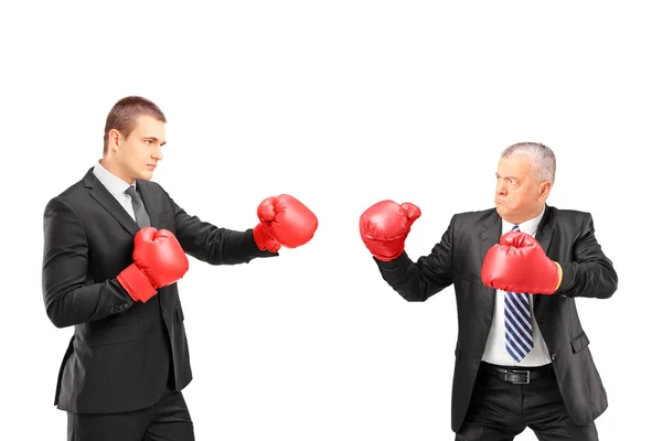 Босс и бизнесмен в боксёрских перчатках — стоковое фото