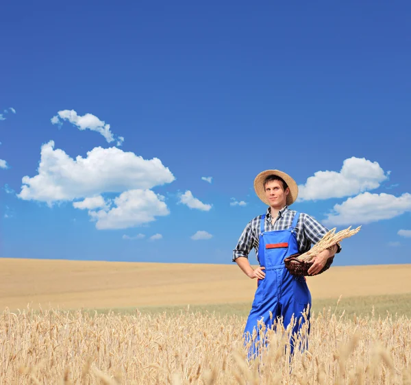 Farmář s pózuje v pšeničné pole — Stock fotografie