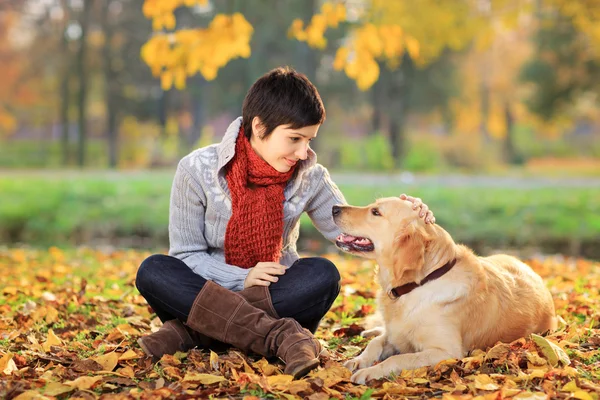 Žena v parku hladil její pes — Stock fotografie