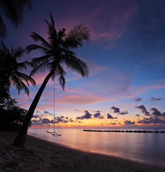 Strand met palmbomen — Stockfoto